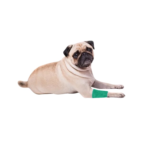 EquiMed Vetwrap Cohesive Bandages