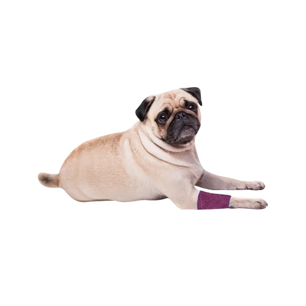 EquiMed Vetwrap Cohesive Bandages