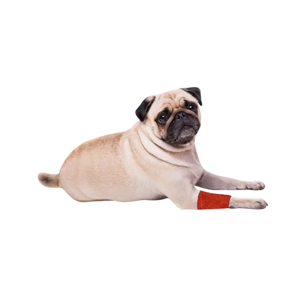 EquiMed Vetwrap Cohesive Bandages