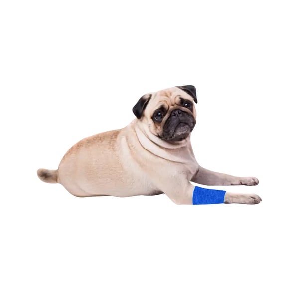 EquiMed Vetwrap Cohesive Bandages