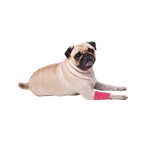 EquiMed Vetwrap Självhäftande Bandage