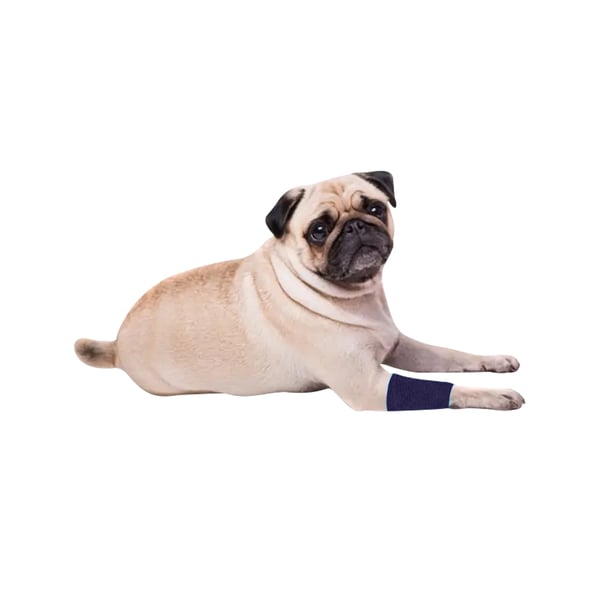 EquiMed Vetwrap Cohesive Bandages