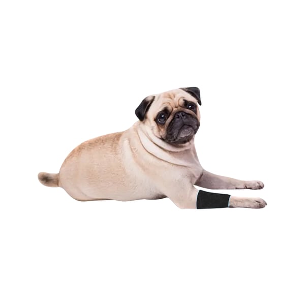 EquiMed Vetwrap Cohesive Bandages