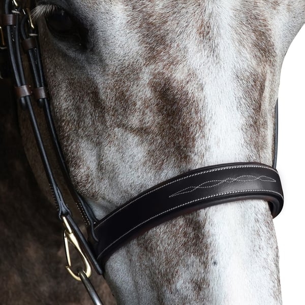 Whitaker Leather Flat Horse Noseband