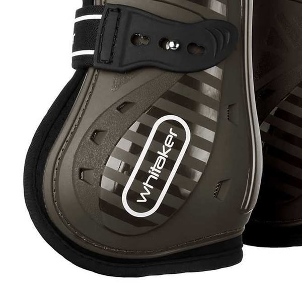 Whitaker Bingley Hästsenskydd (4-pack)