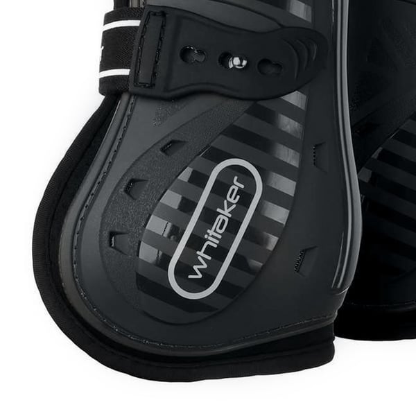 Whitaker Bingley Hästsenskydd (4-pack)