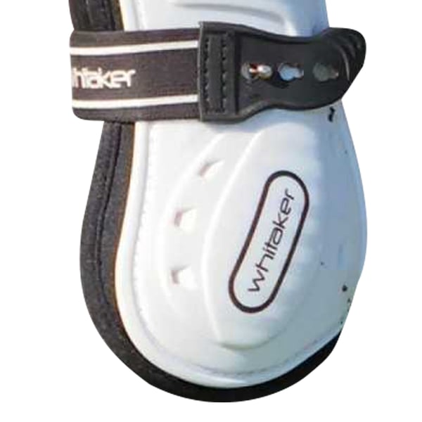 Whitaker Bingley Hästsenskydd (4-pack)
