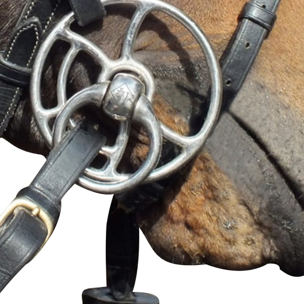 Whitaker Bullet Horse Universalbett