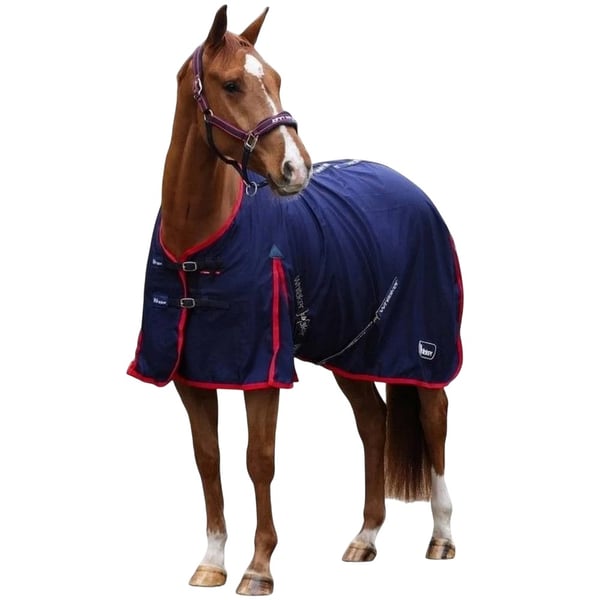Whitaker Rastrick V2 Standard-Neck Horse Stable Rug