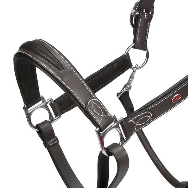 Whitaker Chicago Leather Horse Headcollar