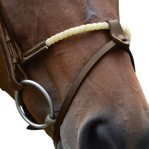 Whitaker RNB Leather Horse Noseband