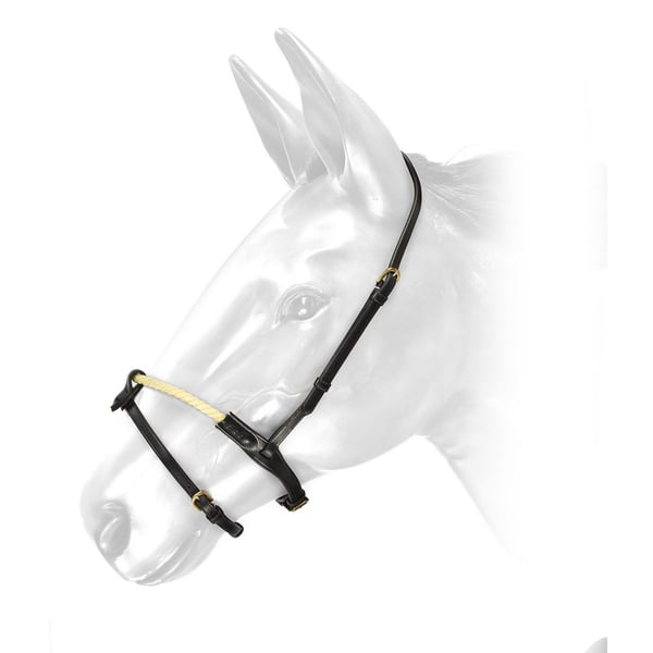 Whitaker RNB Leather Horse Noseband