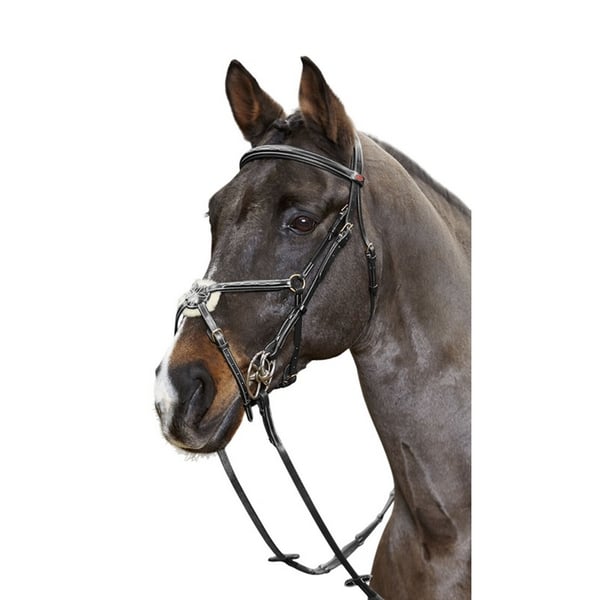 Whitaker Valencia Super Deluxe Mexican Leather Horse Bridle With Reins