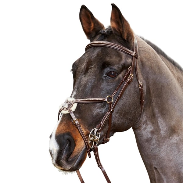 Whitaker Valencia Super Deluxe Mexican Leather Horse Bridle With Reins