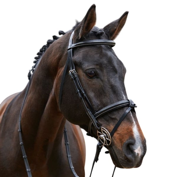 Whitaker Valencia Super Deluxe Mexican Leather Horse Bridle With Reins