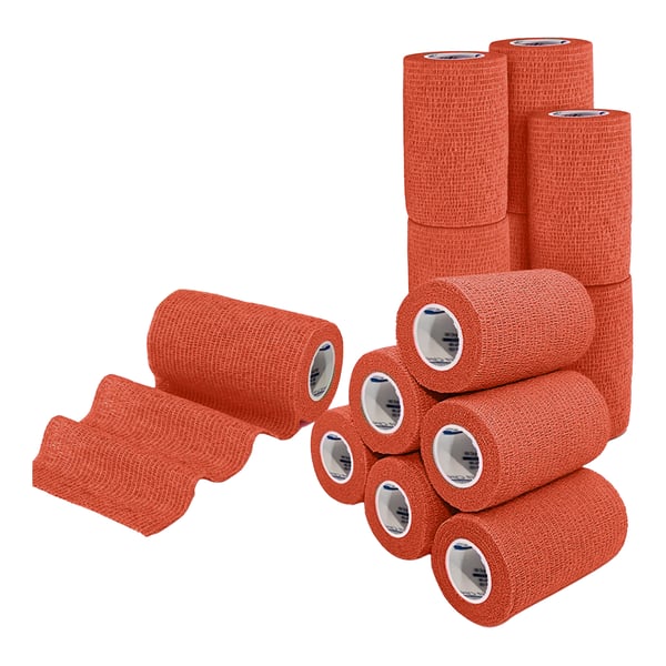 EquiMed Vetwrap Cohesive Bandages (Pack of 12)