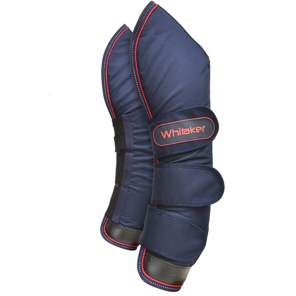 Whitaker Rastrick Horse Travel Boots (Pack of 4)