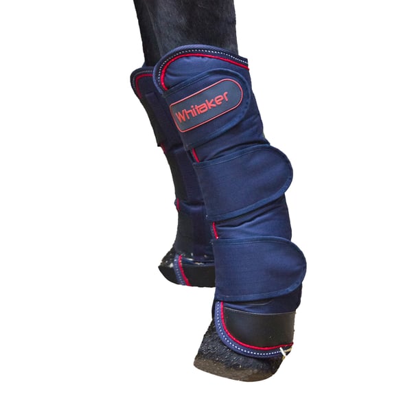 Whitaker Rastrick Horse Travel Boots (Pack of 4)