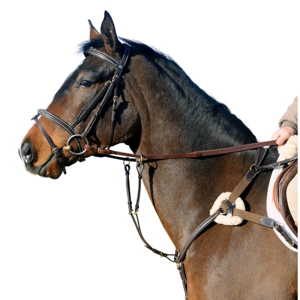 John Whitaker Valencia Leather 5-Point Horse Breastplate