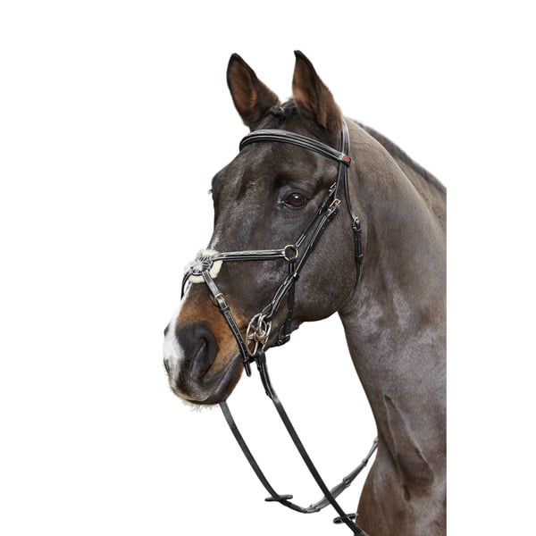 John Whitaker Valencia Leather 5-Point Horse Breastplate