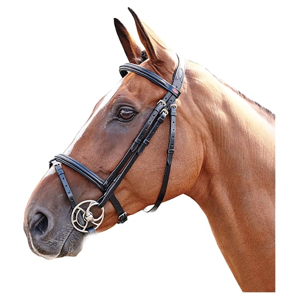 Whitaker Barton Leather Plain Horse Browband