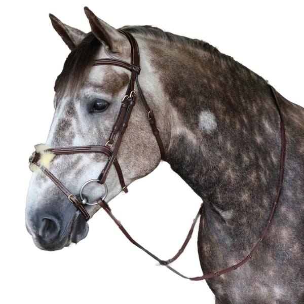 Whitaker Pick N Mix Leather Straight Horse Headpiece