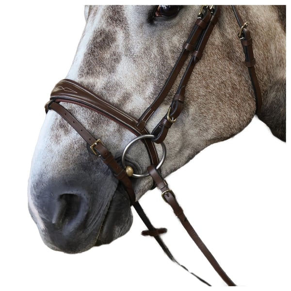 Whitaker Leather Detailing Horse Reins