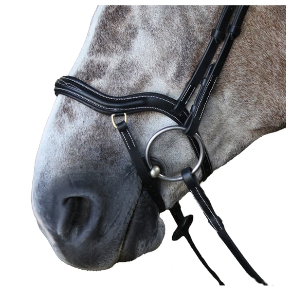 Whitaker Leather Detailing Horse Reins
