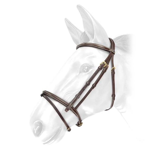John Whitaker Valencia Super Deluxe Leather Horse Flash Bridle