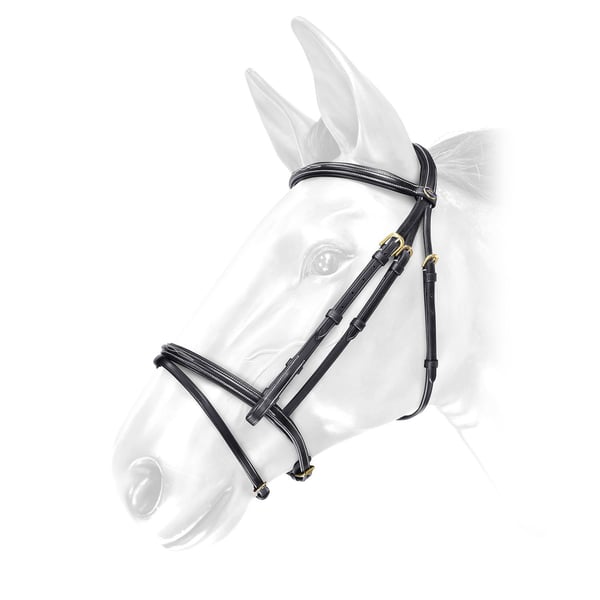 John Whitaker Valencia Super Deluxe Leather Horse Flash Bridle