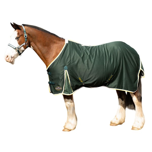 Gallop Standard-Neck hevosen kesäloimi