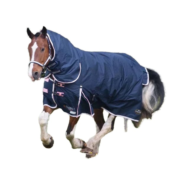 Gallop Trojan Standard-Neck 5-Point Duraproof 50g Horse Turnout Rug