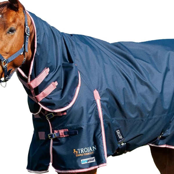Gallop Trojan Combo Neck Duraproof 50g Horse Turnout Rug