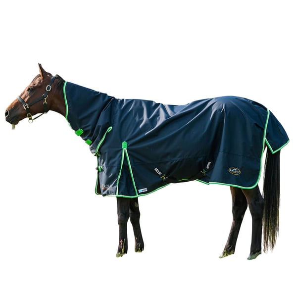 Gallop Trojan Fixed Neck Duraproof Lightweight Horse Combo Turnout Rug