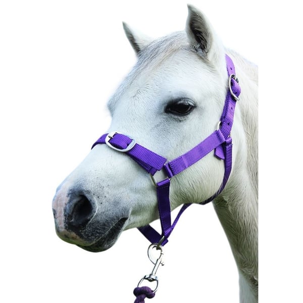 Gallop Nylon Horse Headcollar and Leadrope Set