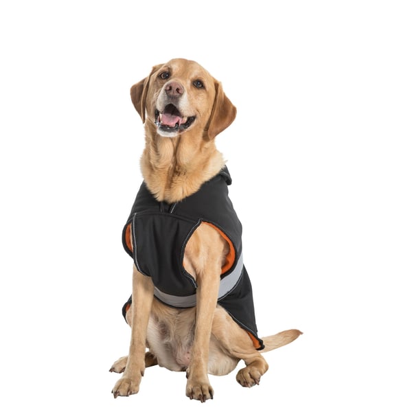Trespass Butch Touch Fastening Softshell hundejakke