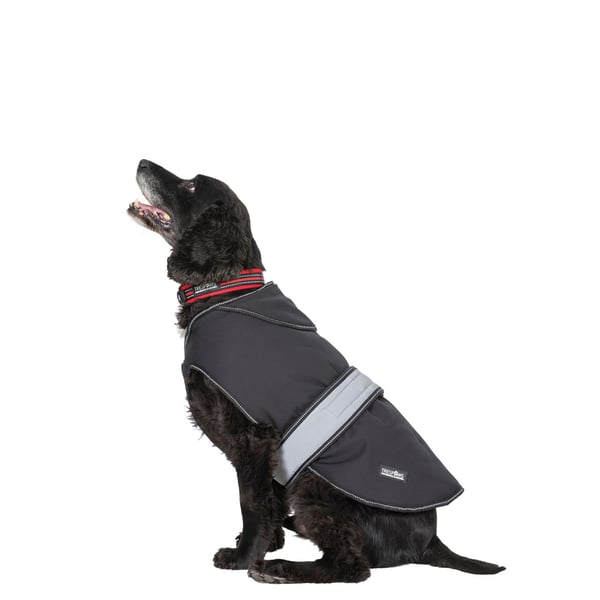 Trespass Butch Touch Fastening Softshell hundejakke