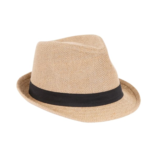 Trespass Unisex Adult Fedora Hat