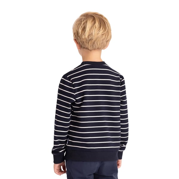 Trespass Boys Broadleaf Contrast Striped Long-Sleeved Top