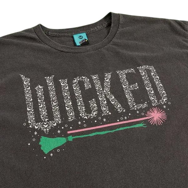 Wicked Unisex Adult Icons Vintage Wash Back Print T-Shirt