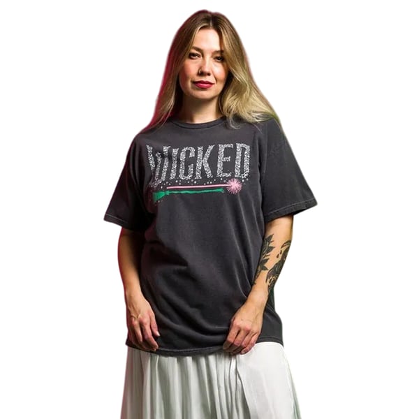 Wicked Unisex Adult Icons Vintage Wash Back Print T-Shirt