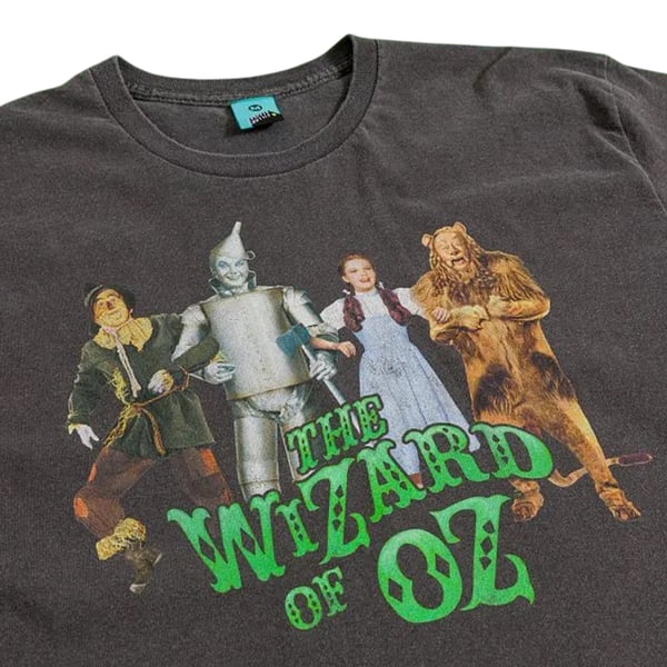 The Wizard Of Oz Unisex Adult Line Up Vintage Wash Back Print T-Shirt