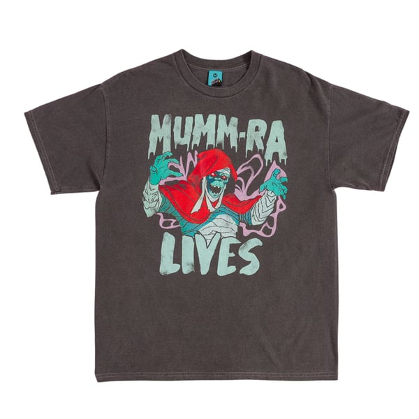 Thundercats Unisex Adult Mumm-Ra Lives Vintage Wash T-Shirt