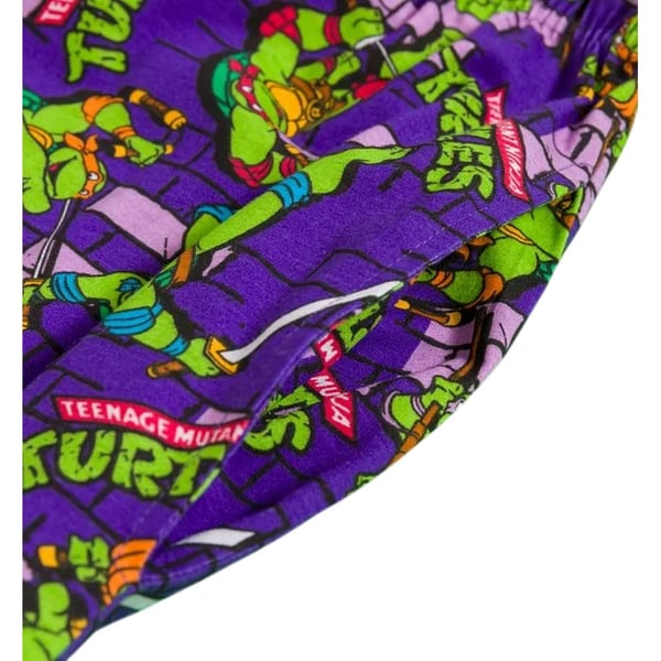 Teenage Mutant Ninja Turtles Mens Wall Lounge Pants