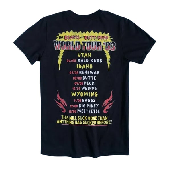 Beavis & Butthead Unisex Adult World Tour 93 Back Print T-Shirt