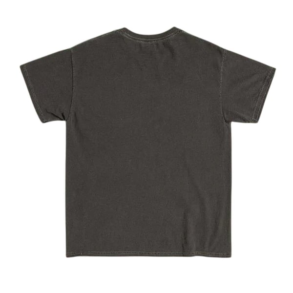 The Raccoons Unisex Adult This Is The Evergreen Forest T-Shirt