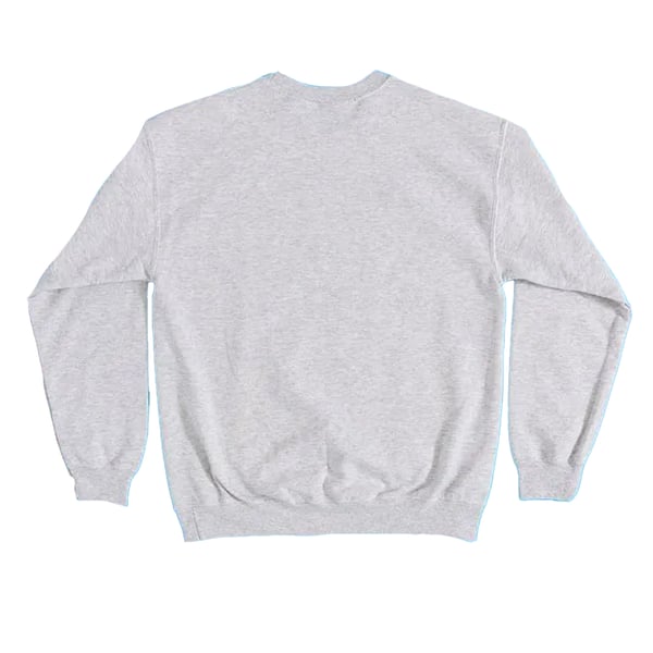 Peanuts Unisex Adult It´s Flashbeagle Snoopy Sweatshirt