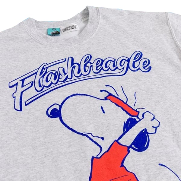 Peanuts Unisex Adult It´s Flashbeagle Snoopy Sweatshirt
