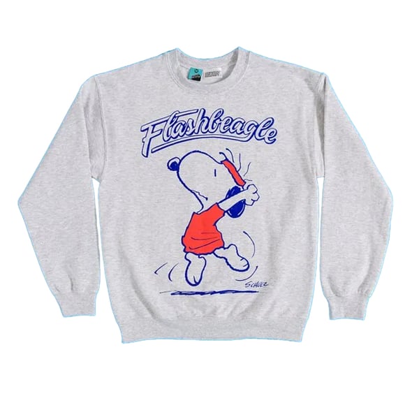 Peanuts Unisex Adult It´s Flashbeagle Snoopy Sweatshirt