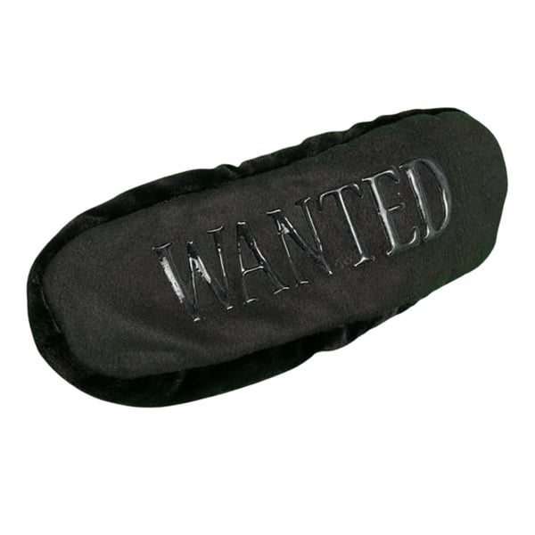 Wallace and Gromit Unisex Adult Feathers McGraw Slippers